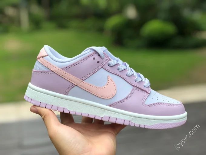 Nike Dunk Low Blue Purple Pink DD1503-001