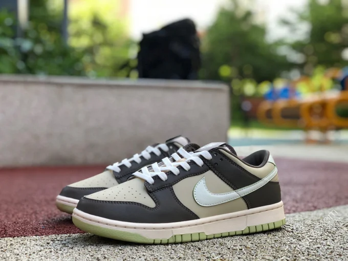 Nike Dunk Low Retro Brown Beige Green FB4960-210