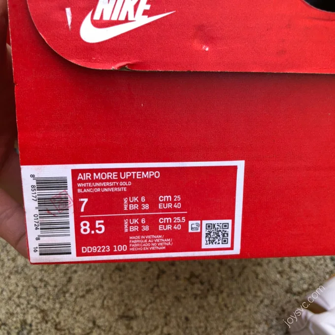 Nike Air More Uptempo Multicolor DD9223-100