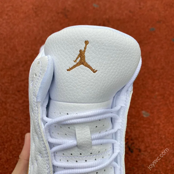 Air Jordan 13 