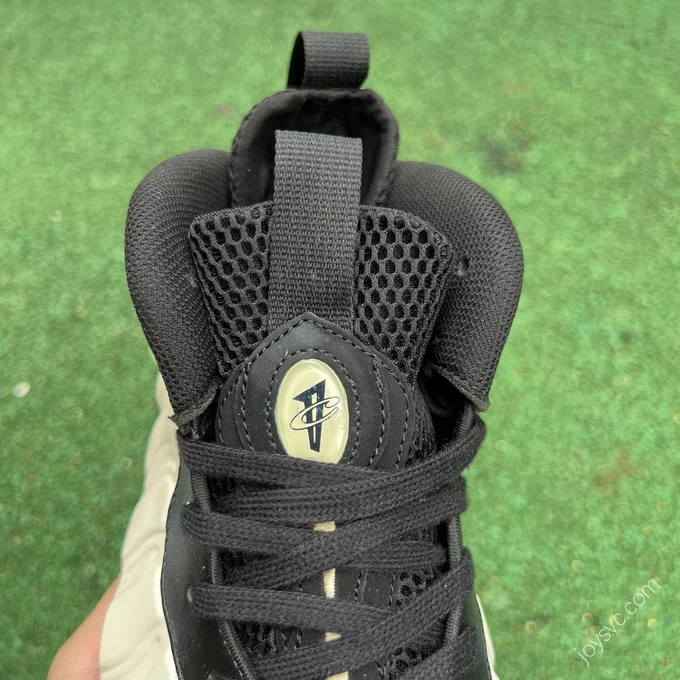 Nike Air Foamposite One Black White FD5855-002