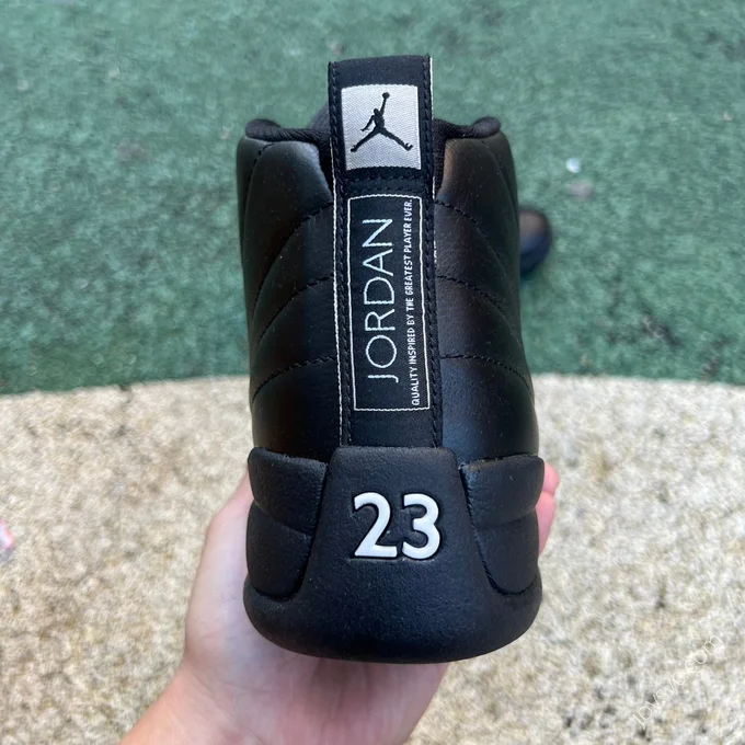 Air Jordan 12 