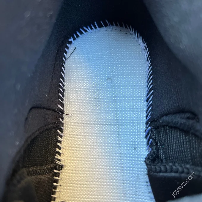 Air Jordan 12 