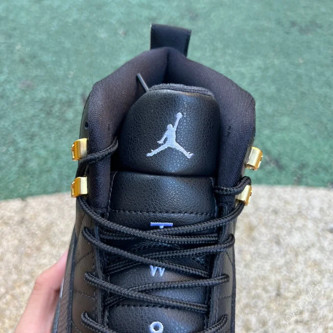 Air Jordan 12 