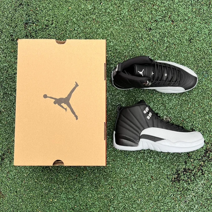 Air Jordan 12 Grey Black CT8013-010