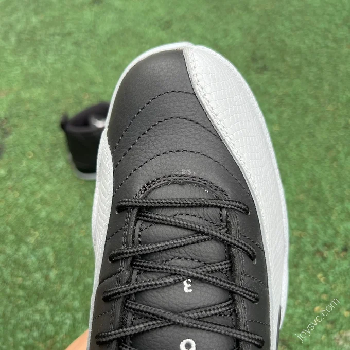 Air Jordan 12 Grey Black CT8013-010