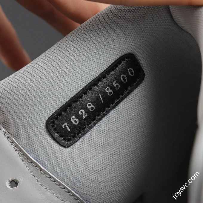 AJ1 Dior High OG White Grey Sneakers