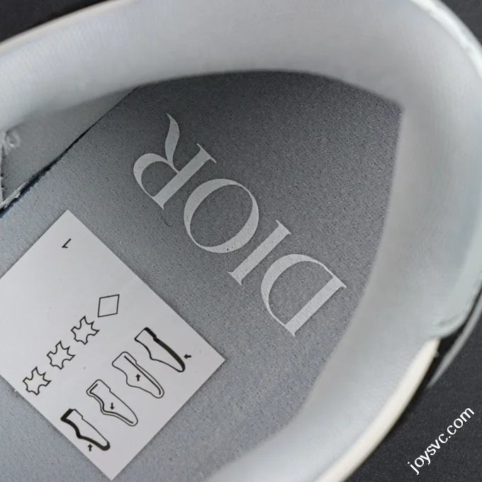 AJ1 Dior Low White Grey Sneakers
