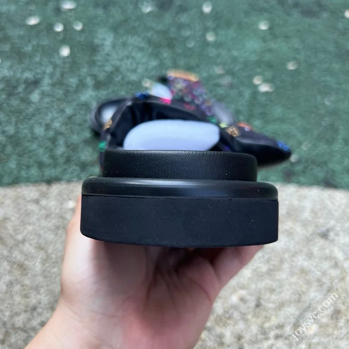 LOUIS VUITTON LV Slides Black Multi-Color