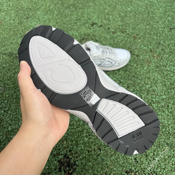 Dior B30 Grey Mesh Low Top Sports Casual Shoes