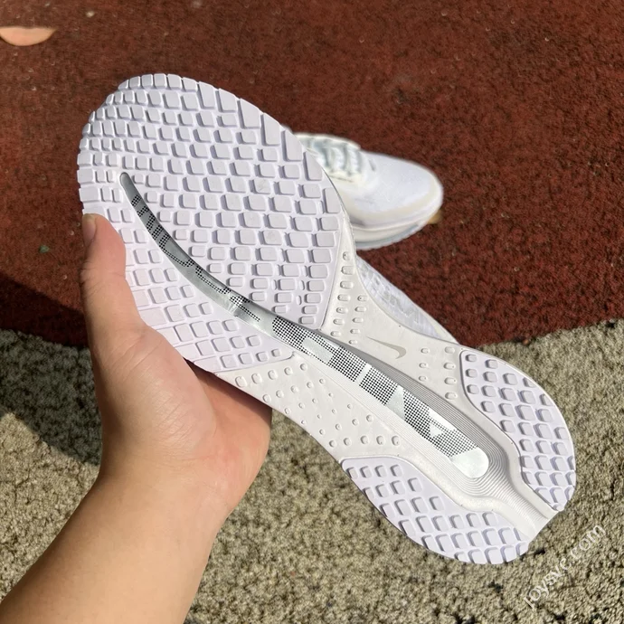 Nike Air Cushion White Blue Barefoot Nike Pegasus Premium HQ2592-100-102