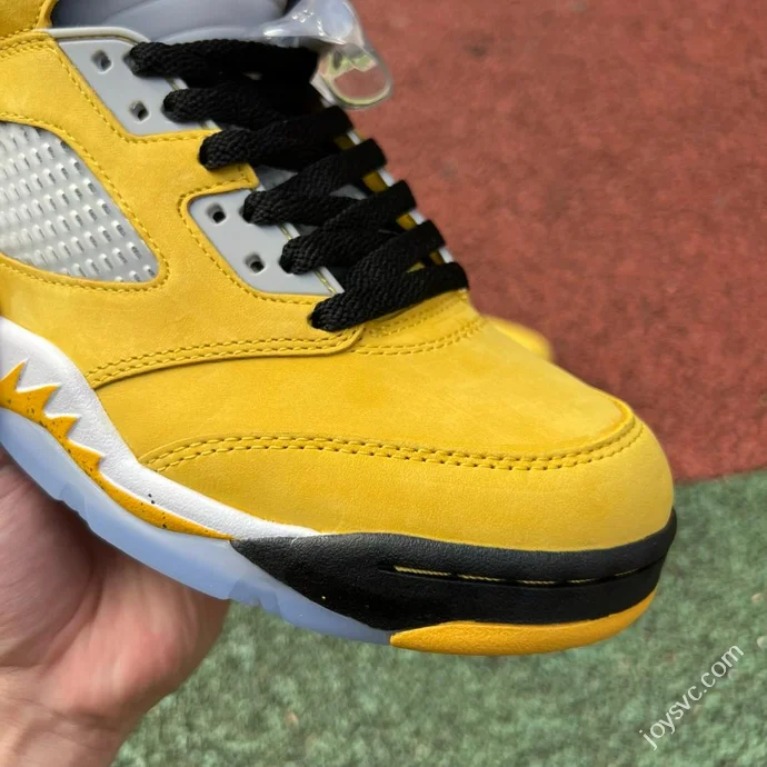 AJ5 Tokyo Limited Edition Air Jordan 5 IO3372-700