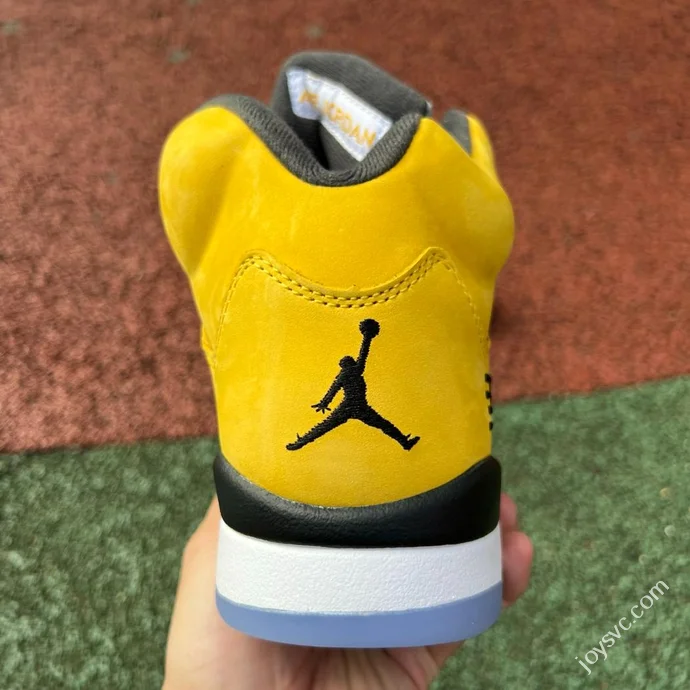 AJ5 Tokyo Limited Edition Air Jordan 5 IO3372-700