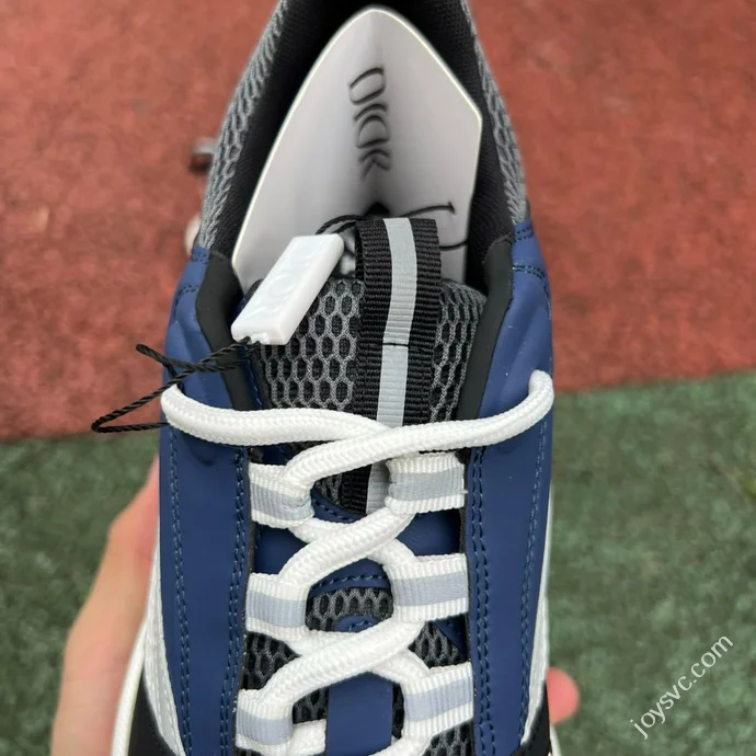 DIOR B22 Mesh Blue Black