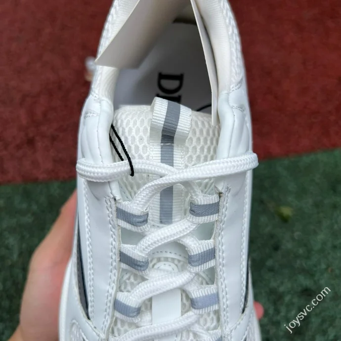 DIOR B22 Mesh White Grey