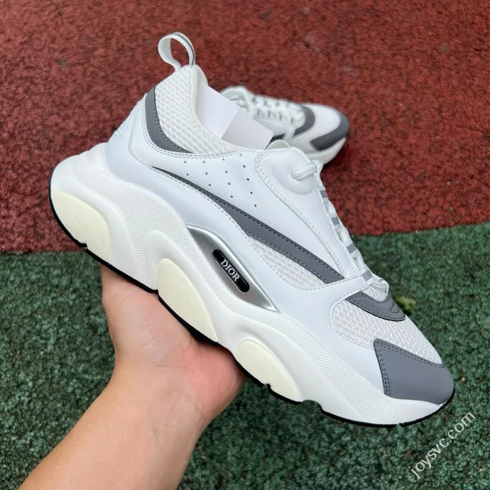 DIOR B22 Mesh White Grey