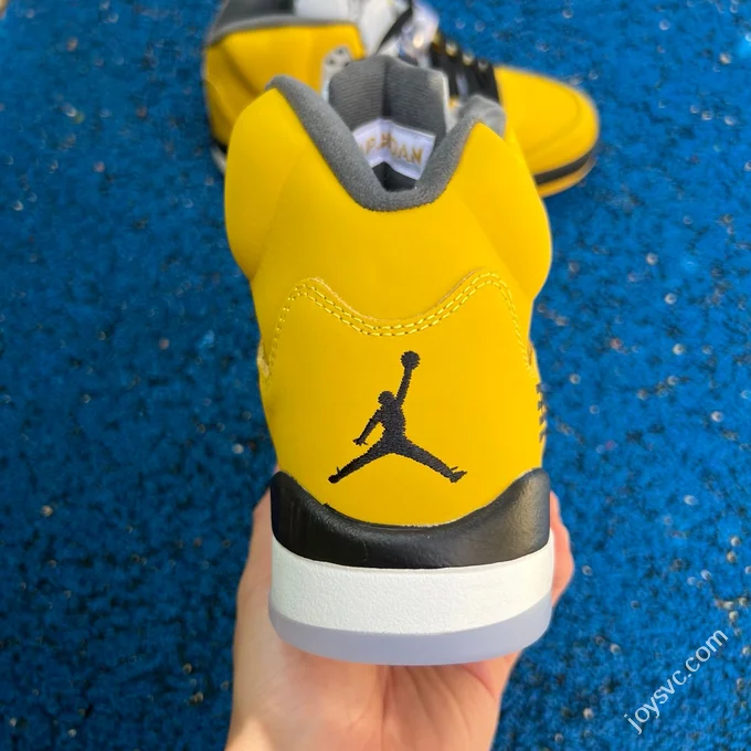 AJ5 Tokyo Air Jordan 5 IO3372-700