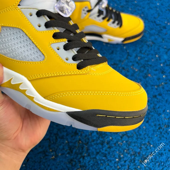 AJ5 Tokyo Air Jordan 5 IO3372-700