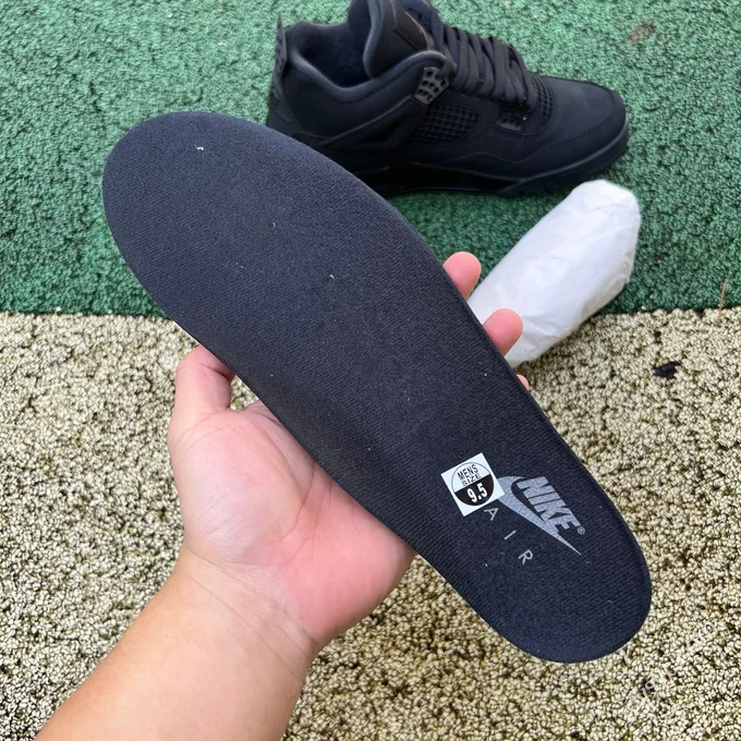 OG Pure Original AJ4 Black Cat 2025 FV5029-010