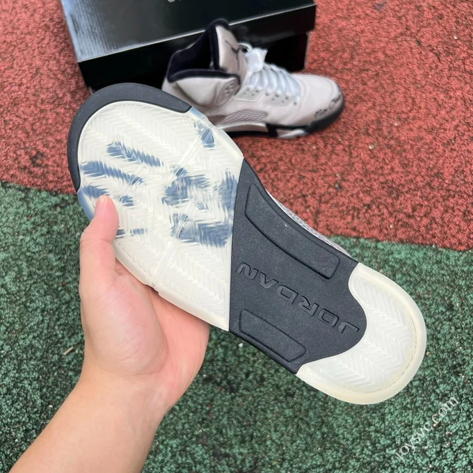 AJ5 Silver Grey Wings IO2038-001