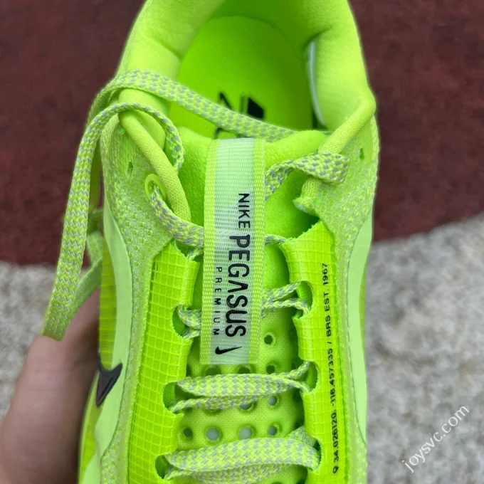 Nike Air Cushion Green Black Pegasus Premium HQ2592-700