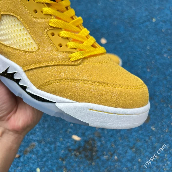 AJ5 Yellow Michigan PE HQ7978-701