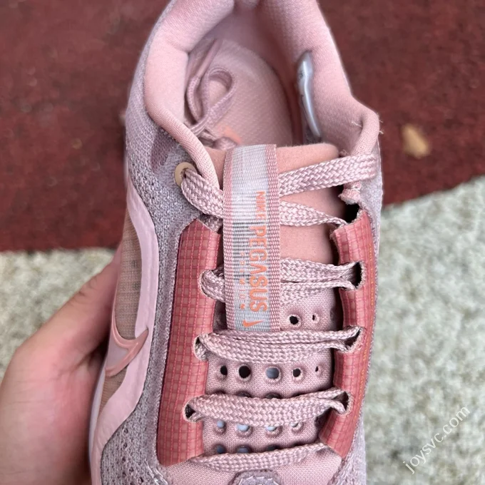 Nike Air Cushion Rose Gold Pink Pegasus Premium HQ2593-603