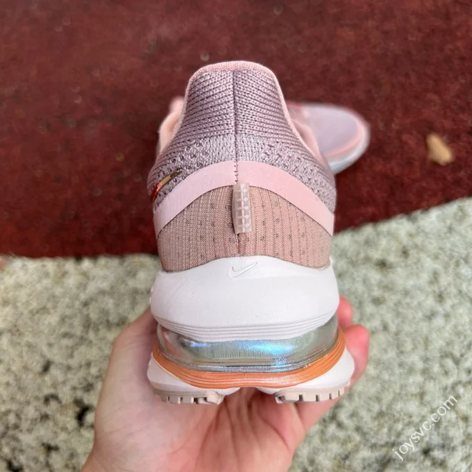 Nike Air Cushion Rose Gold Pink Pegasus Premium HQ2593-603