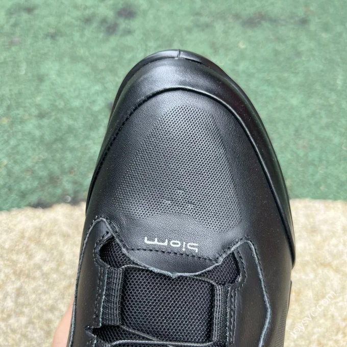 ecco Biom 2.2 Casual Shoes Black